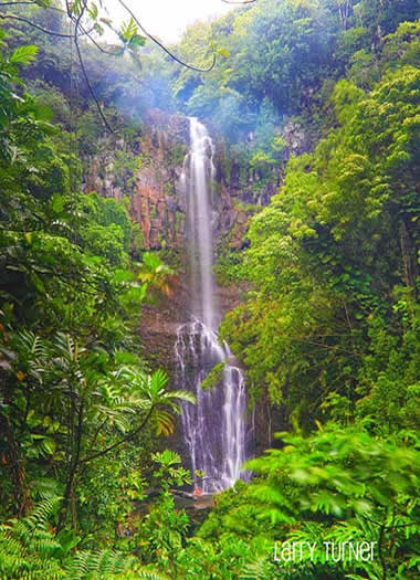 Hawaii, road to Hana waterfall