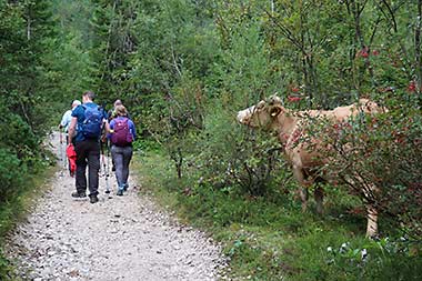 Slovenia Mount Triglav climb valley trail
