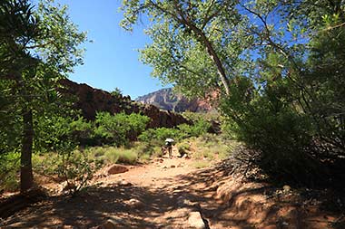 Grand Canyon Bright Angel  trek to Indian Garden
