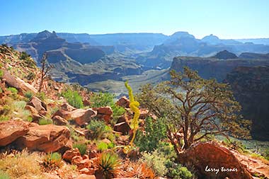 Grand Canyon South Kaibob Trail