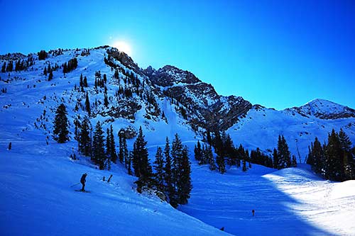 Alta powder skiing