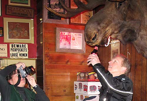 Shooting Star Saloon moose shot