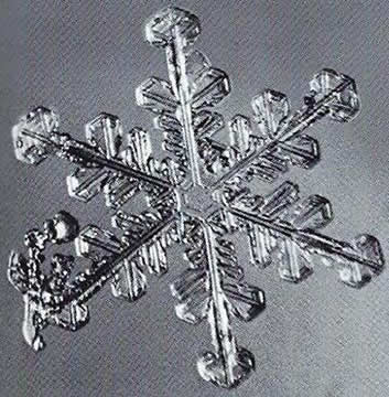 Snowflake from Edward R. LaChapelle’s “Field Guide to Snow Crystals”