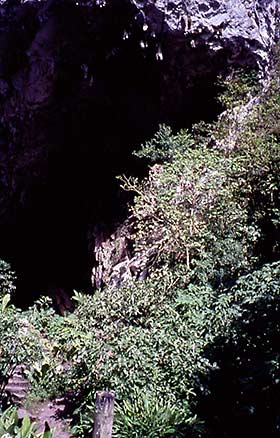 Guacharo Cave entrance