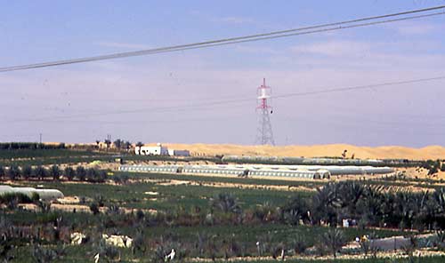Abu Dhabi Liwa Greenhouses and Agriculture