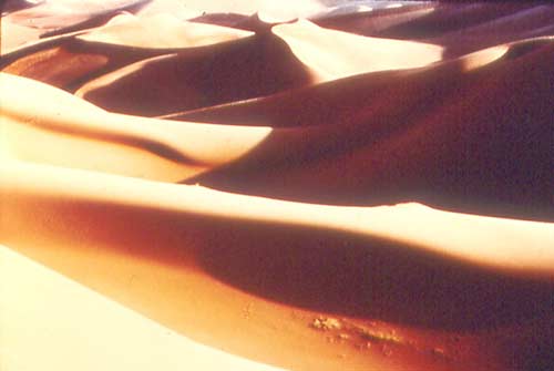 Abu Dhabi Liwa sand dunes