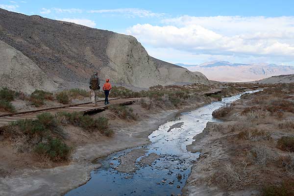 Death Valley National Park Salt Creek Boardwalk