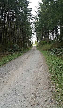 Galbraith Mountain Road
