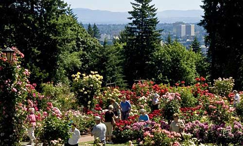 International Rose Test Garden, Oregon