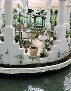 Rio de Janeiro Orchid House in the Botanical Garden