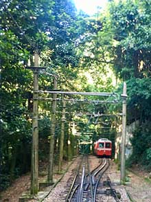 Rio de Janeiro cog train in the forest