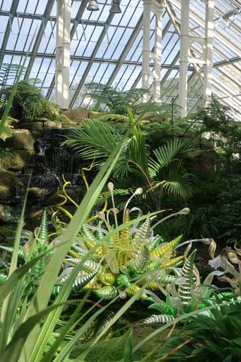 Kew Gardens palms and ferns