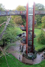 Kew Gardens stairway to treetop walkway