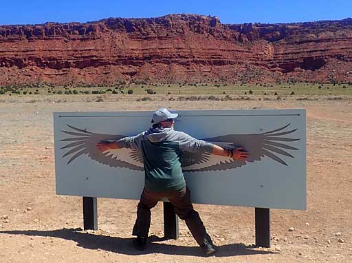Condor wingspan