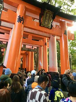 crowds walk under the torii framing the path at Fushimi Inari-taisha.
