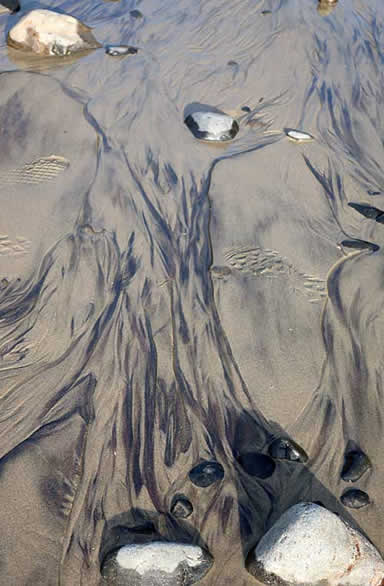 Oregon coast shifting sands