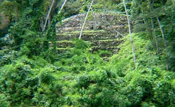 Chiapas Usumacinta Yaxchilan structure