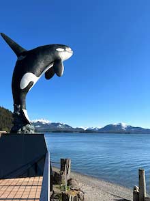 Statue of killer whale