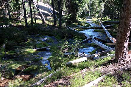 Beauty along the North Umpqua Trail