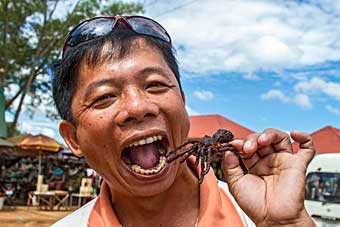 Cambodian eating French fried tarantula