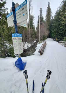 Cross country skiing at Lost Lake, Whistler