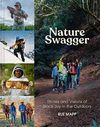 Naturte Swagger book cover