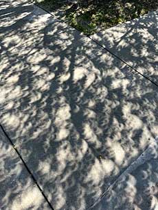 Annular eclipse shadows