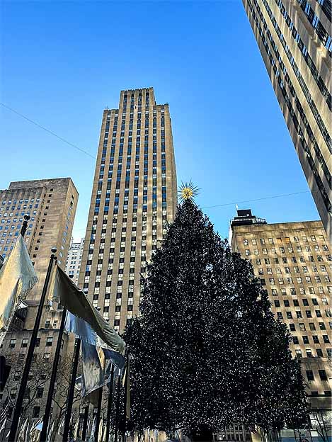 New York City Christmas tree amidst skyscrapers