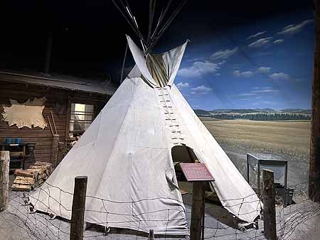 Hi Desert Museum netting a salmon
