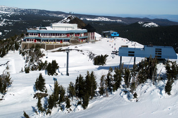 Mt. Bachelor's Pine Marten Lodge