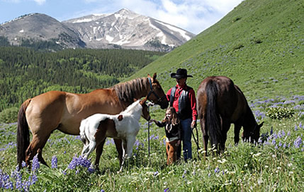 Horseback riding at Crested Butte