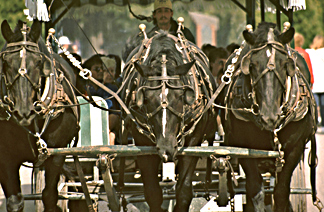 Mackinac Island horseless carriage