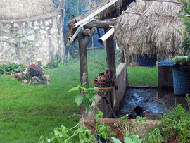 Huichol hut