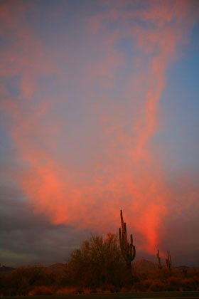 Desert glow, Tucson, Arizona