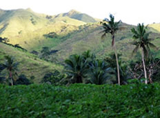 Fiji-Sigatoka Valley Naihehe Vicinity