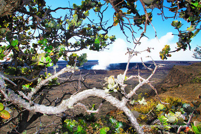 Kilauea morning