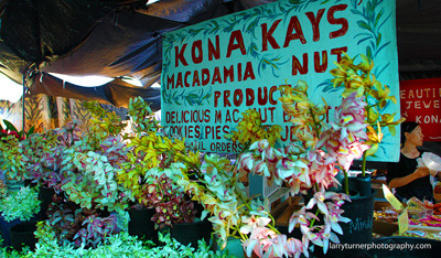 Kon Farmer's Market