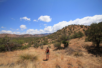 Arizona Hiking in the Chiracahuas