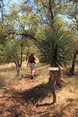 Arizona Lynette Hiking