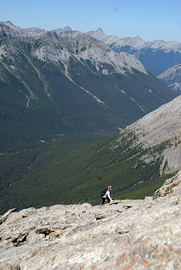 Banff, hikers above tree line