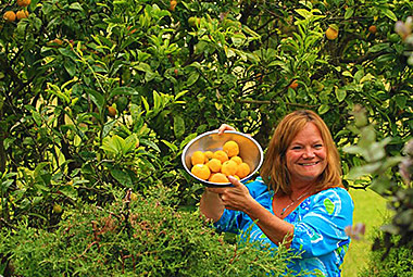 Hawaii Big Island fruit