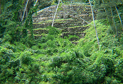 Chiapas, Yaxchilan River view