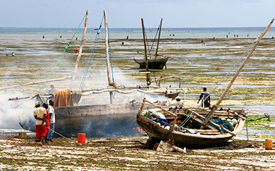 Zanzibar, building dhows