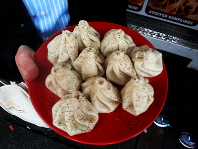 Portland food cart dumplings