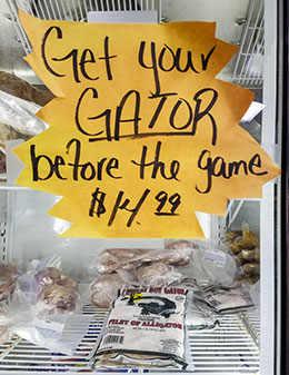 Gator meat for sale