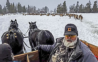 Elk feed wagonmaster