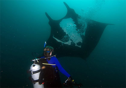 Volunteering in Ecuador with Ray of Hope Expeditions and Marine Megafauna Foundation (Photo Credit to Ralph Wolf)