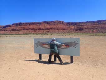 White Pocket Grand Canyon condor wingspread sign
