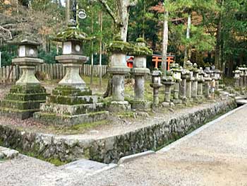 Stone Lanterns line the walk way in Nara Park