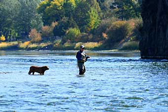 Montana rivers to run
